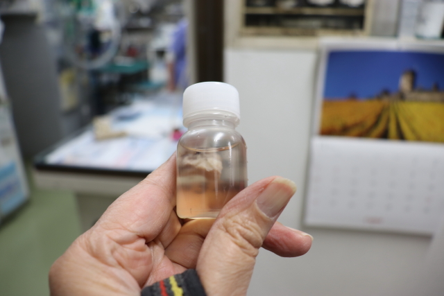 ファイル 8858-5.jpg