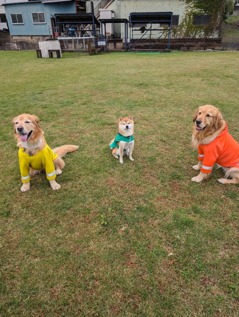 ファイル 8859-2.jpeg