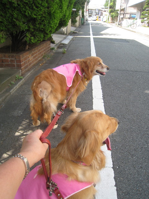 ファイル 886-1.jpg