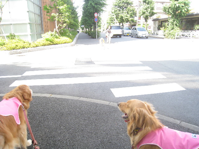 ファイル 886-2.jpg