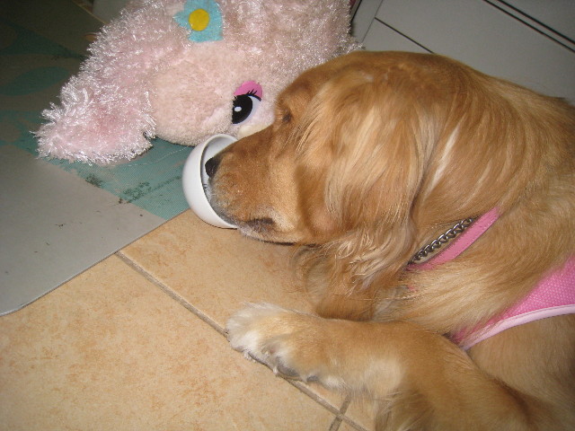 ファイル 886-3.jpg