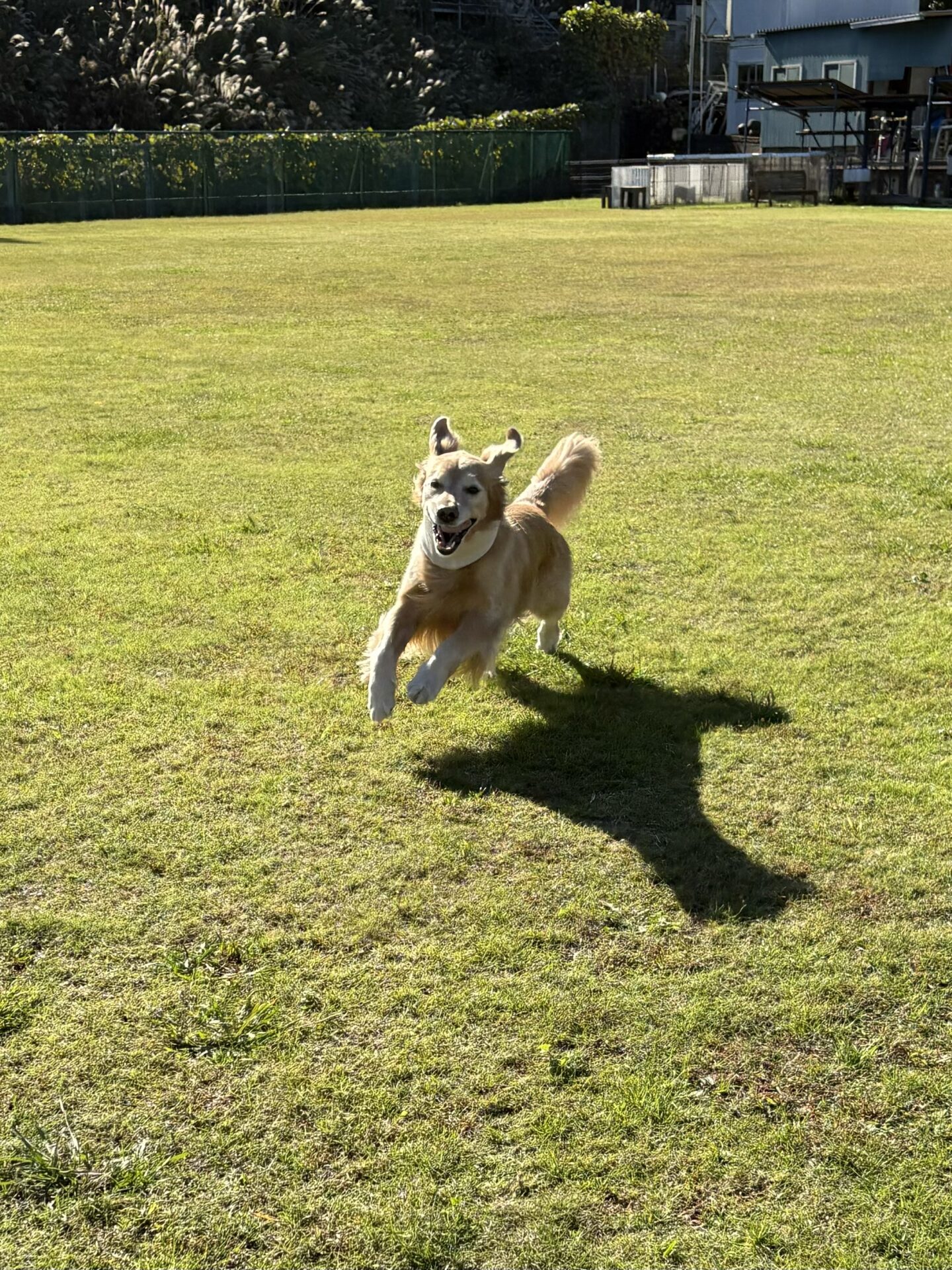 ファイル 8861-3.jpeg