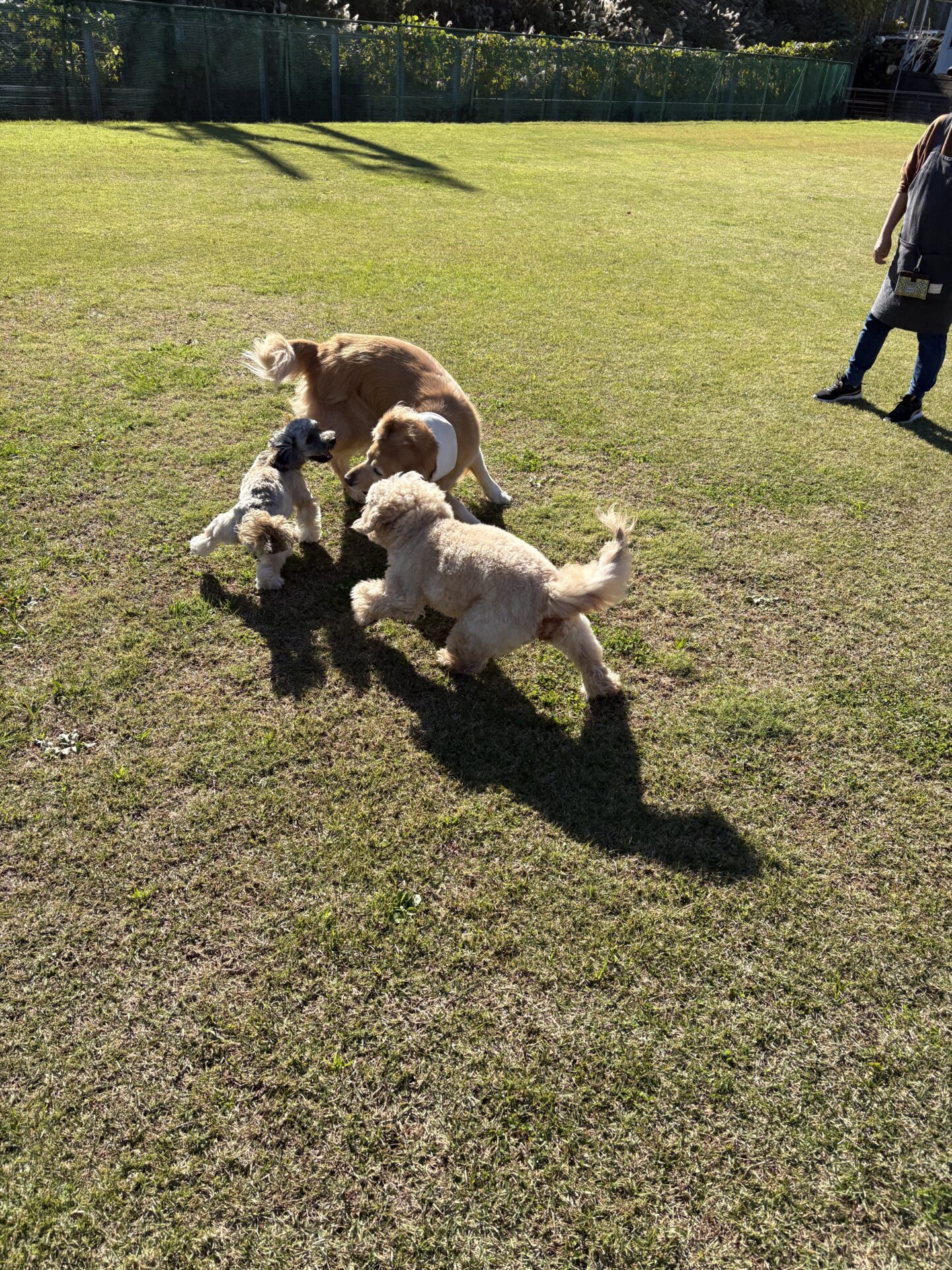 ファイル 8861-4.jpeg