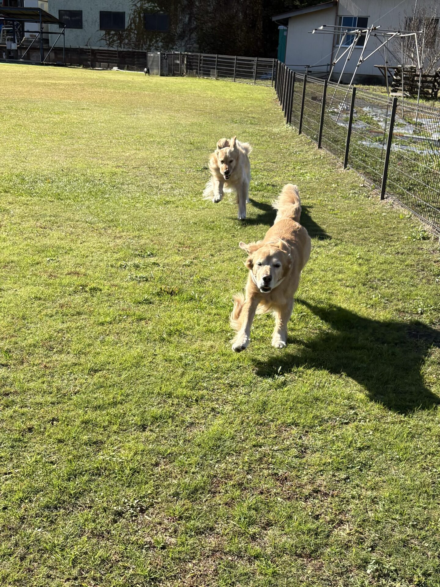 ファイル 8861-5.jpeg