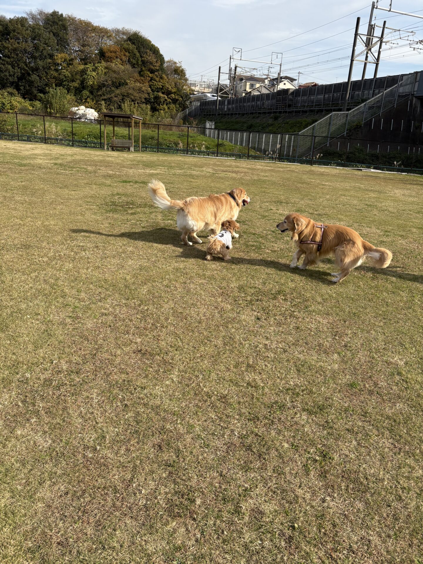 ファイル 8865-5.jpeg