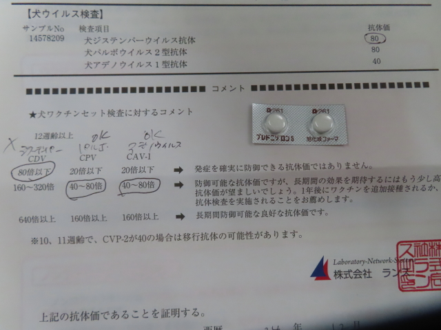 ファイル 8866-1.jpg