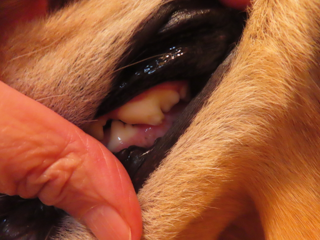 ファイル 8866-3.jpg