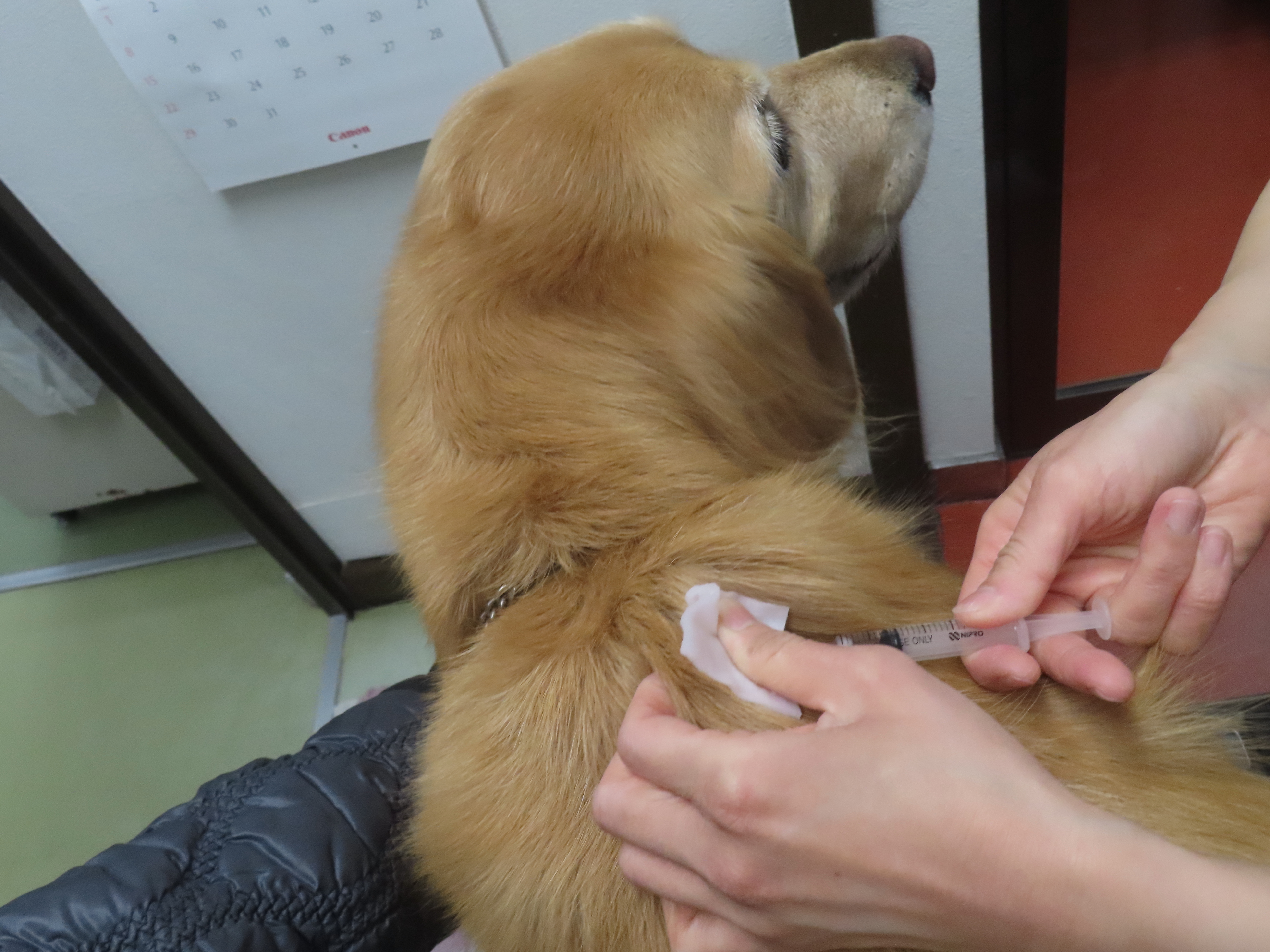 ファイル 8869-3.jpg