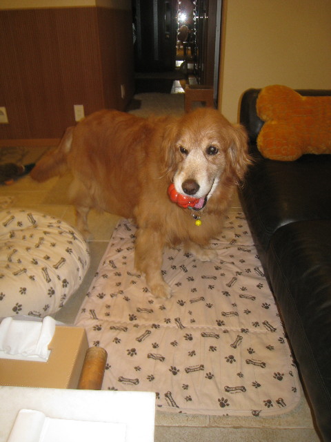 ファイル 887-3.jpg