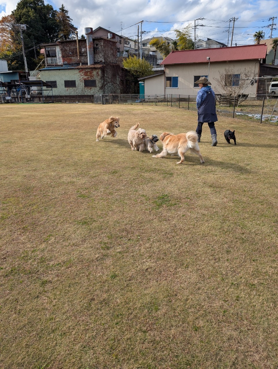 ファイル 8871-3.jpeg