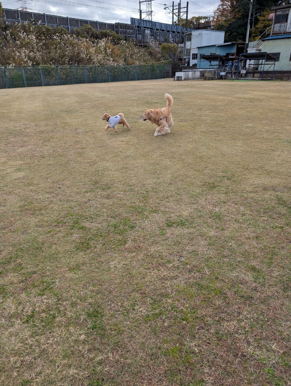 ファイル 8871-4.jpeg