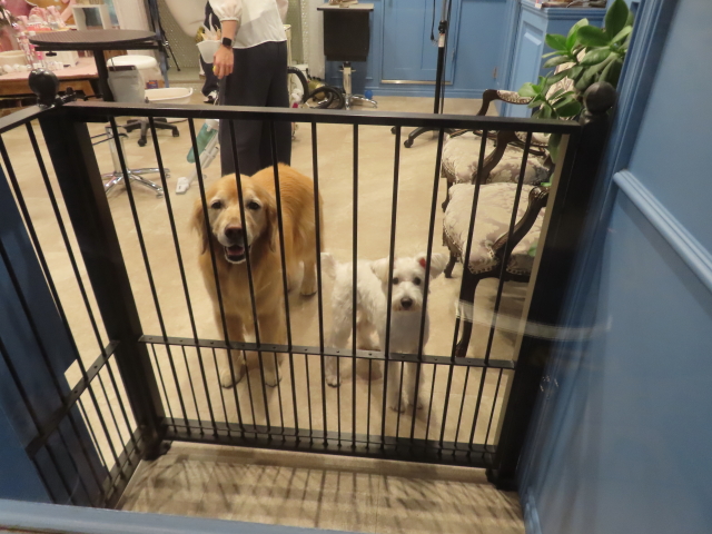 ファイル 8872-1.jpg