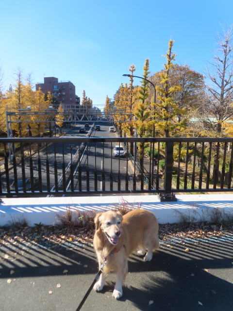 ファイル 8873-3.jpg