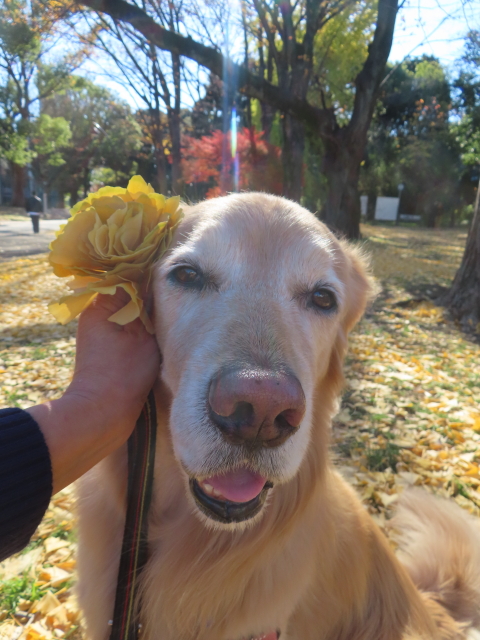 ファイル 8877-5.jpg