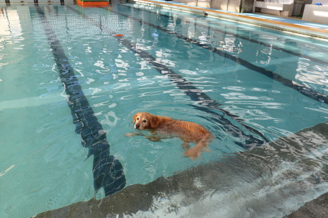 ファイル 8882-3.jpg