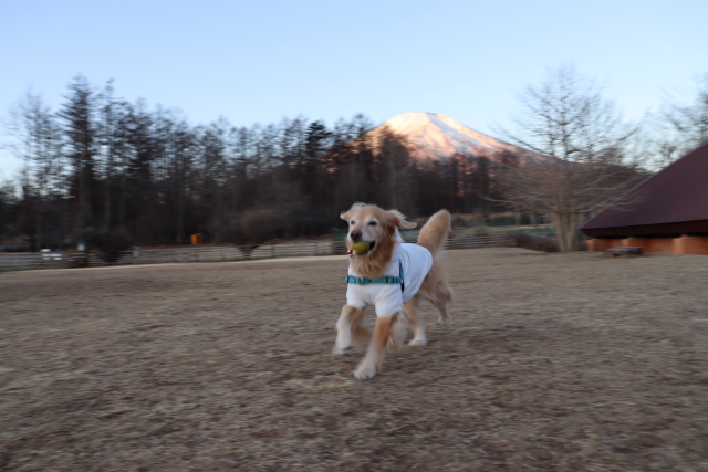 ファイル 8882-4.jpg