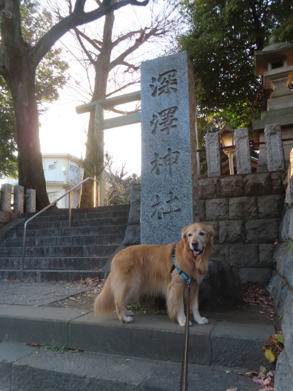 ファイル 8882-5.jpg