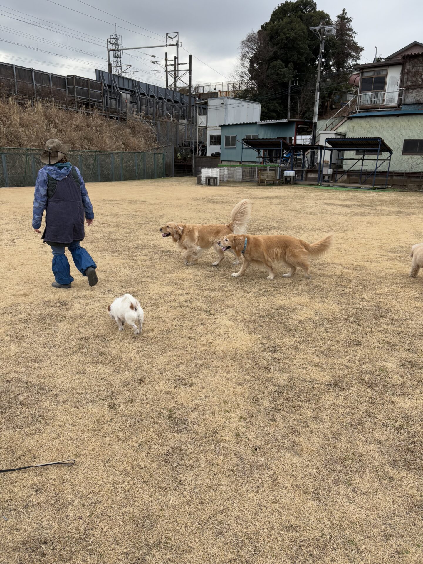 ファイル 8887-4.jpeg