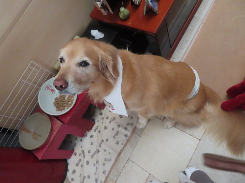 ファイル 8888-1.jpg