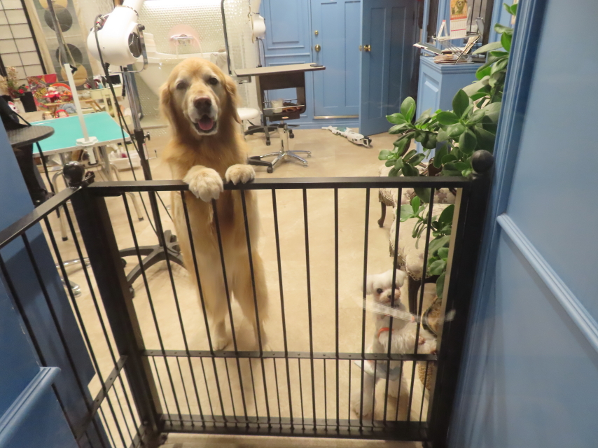 ファイル 8888-3.jpg