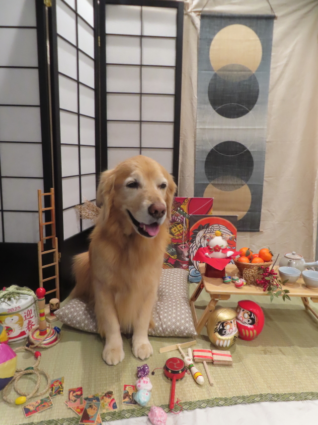 ファイル 8888-4.jpg