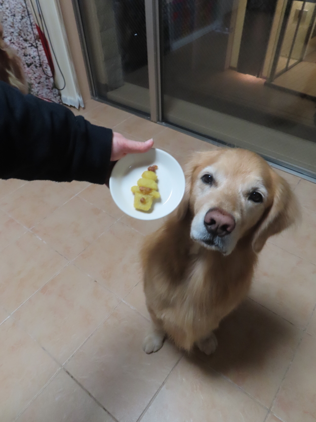 ファイル 8888-5.jpg