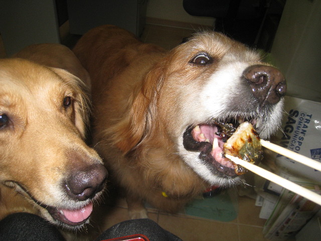 ファイル 889-2.jpg