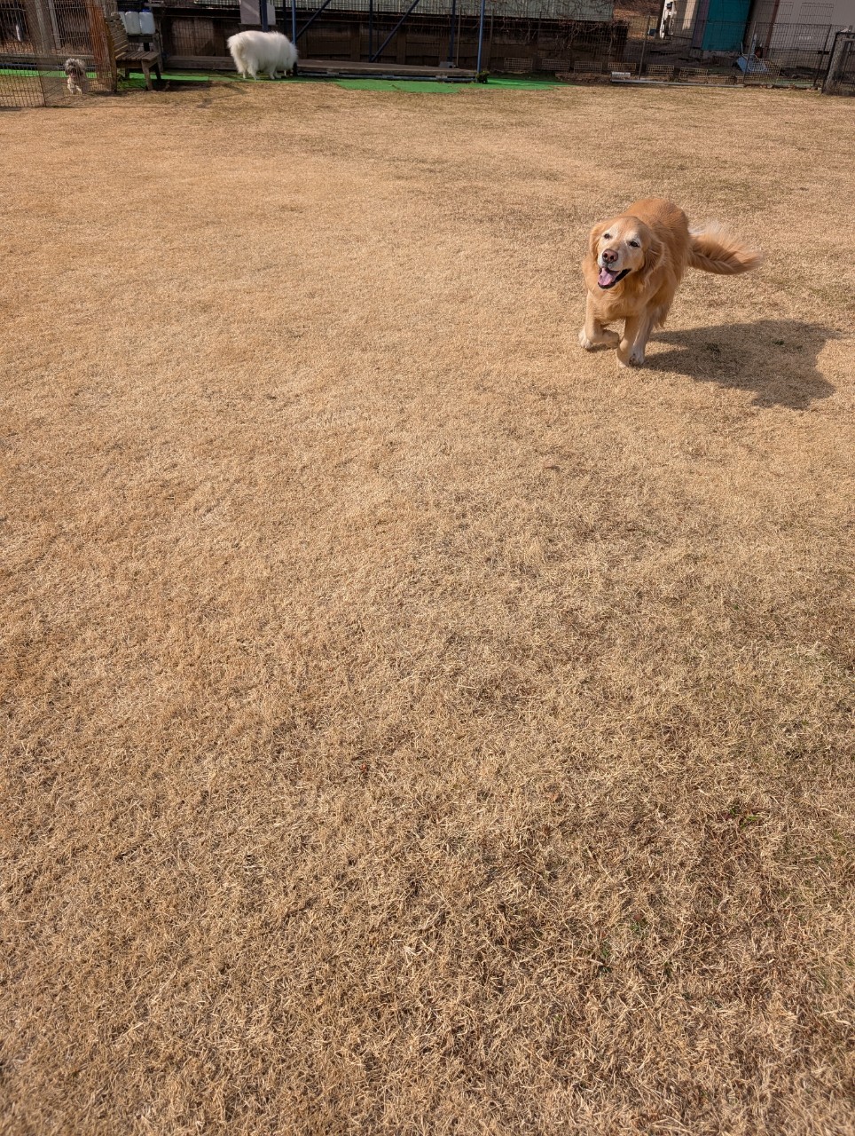 ファイル 8890-2.jpeg