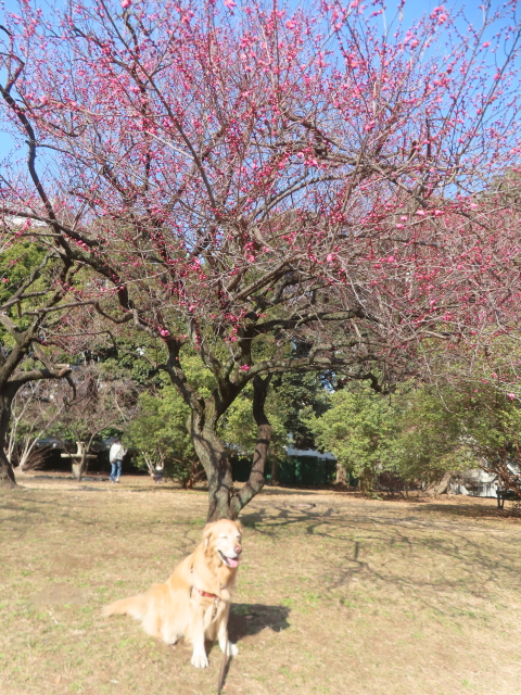 ファイル 8891-3.jpg