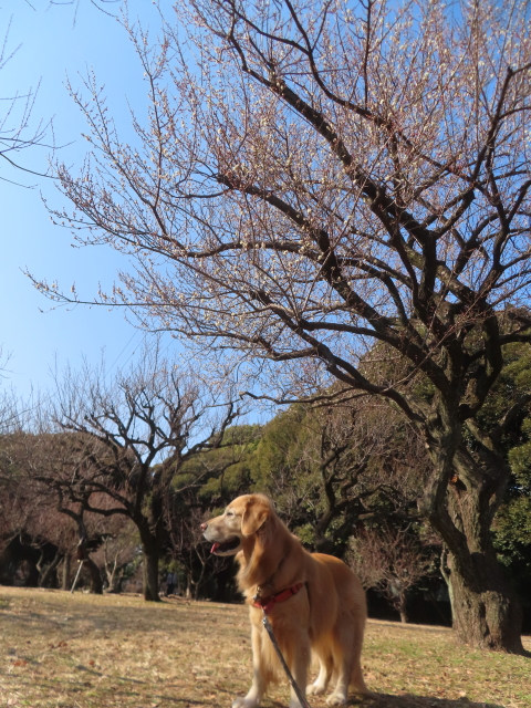 ファイル 8891-4.jpg