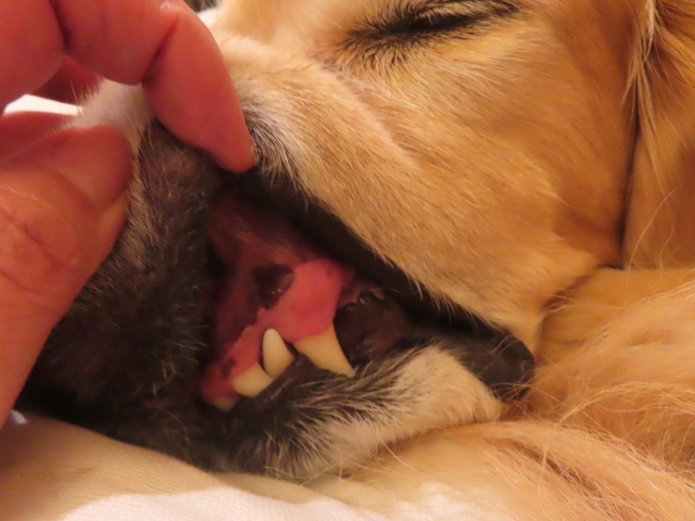 ファイル 8892-2.jpg