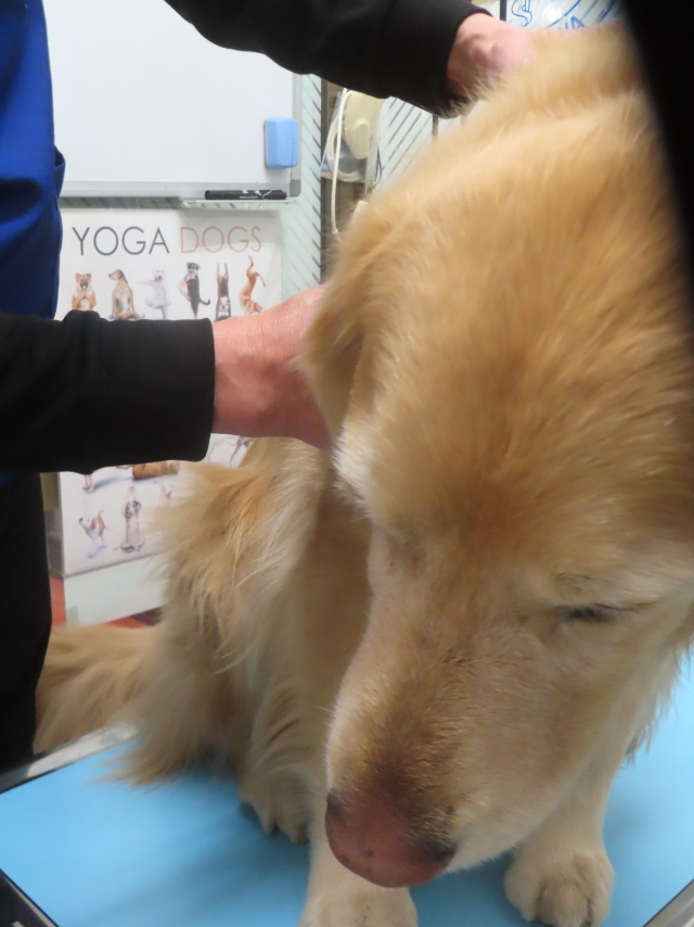 ファイル 8892-4.jpg