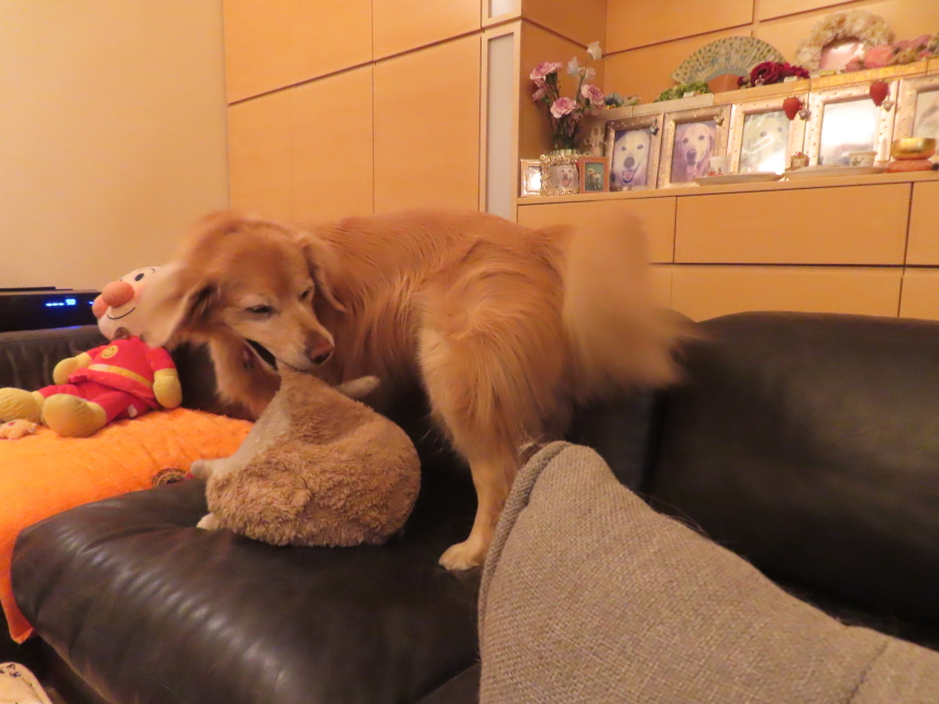 ファイル 8893-1.jpg