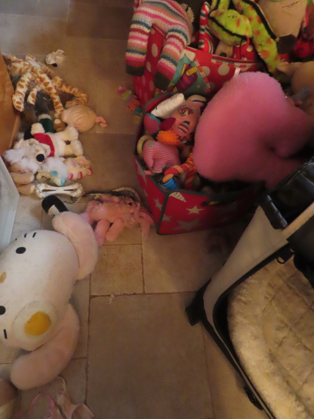 ファイル 8893-2.jpg