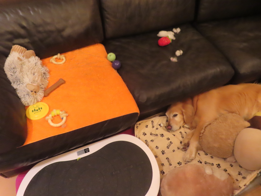 ファイル 8893-4.jpg