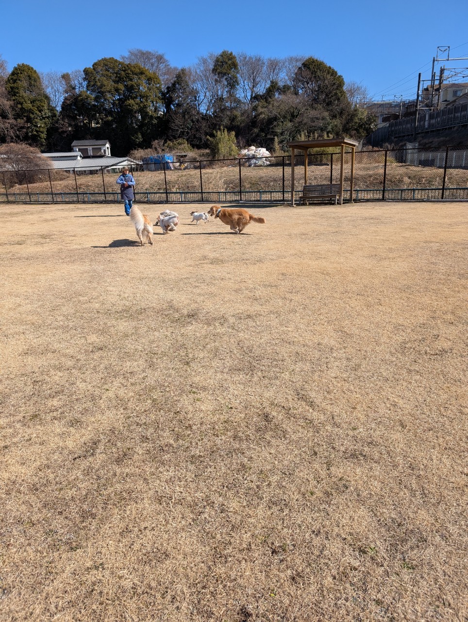 ファイル 8897-3.jpeg