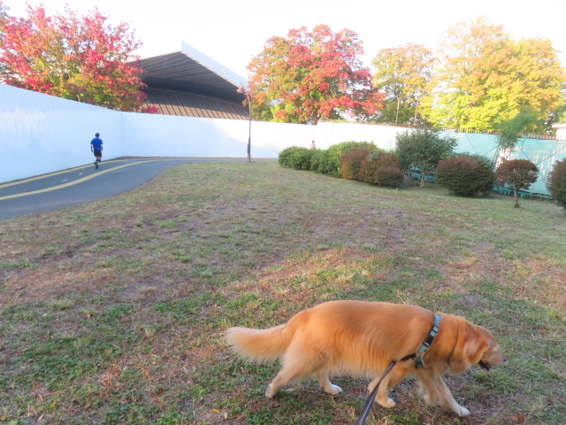 ファイル 8898-1.jpg