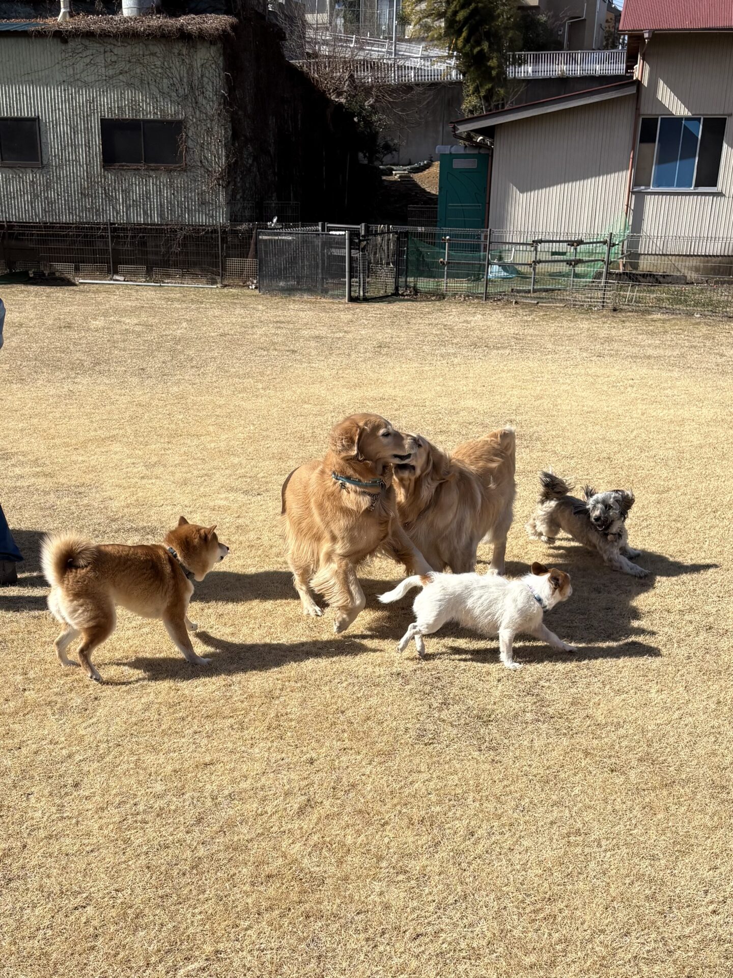 ファイル 8899-2.jpeg