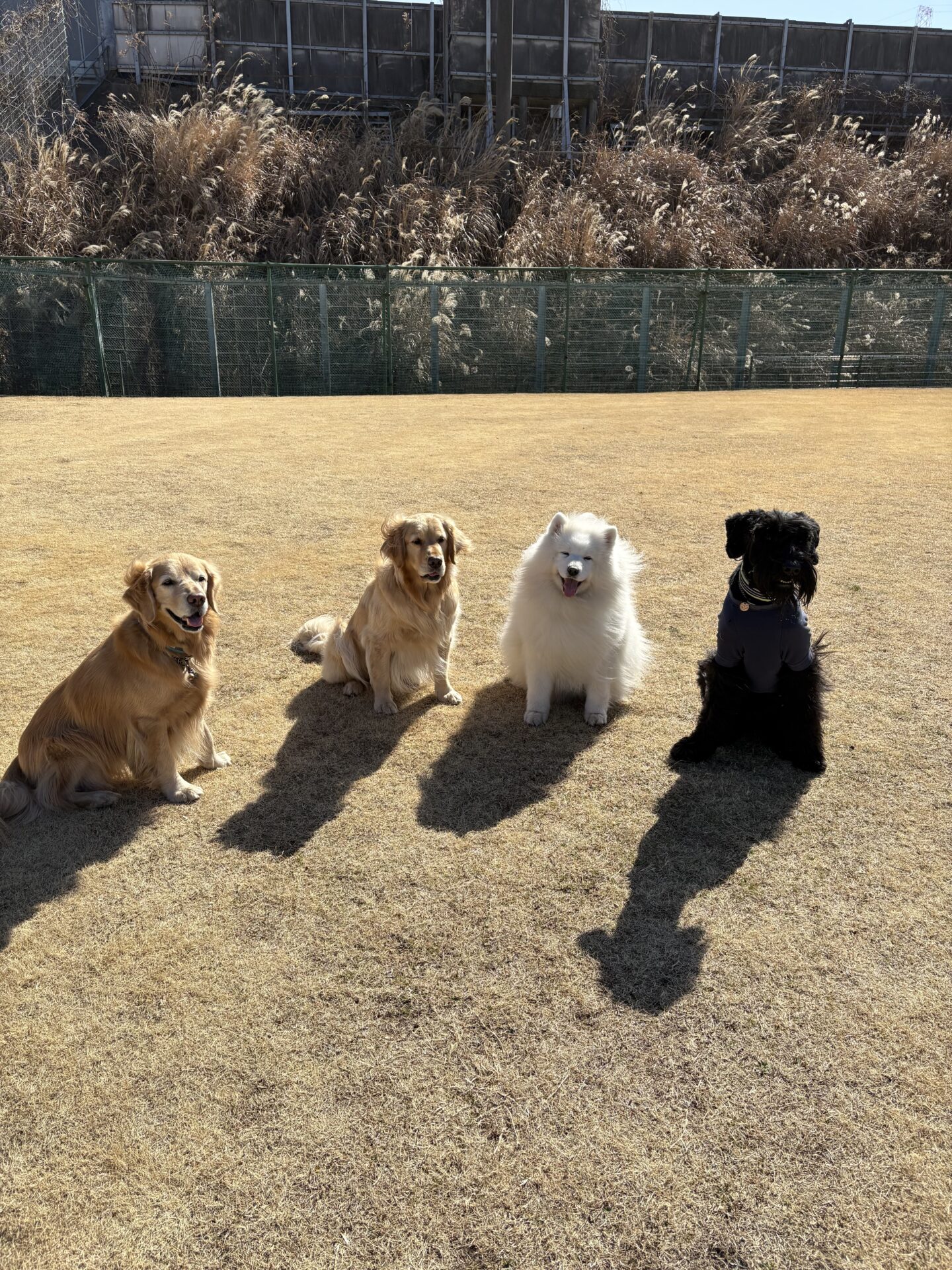 ファイル 8899-5.jpeg