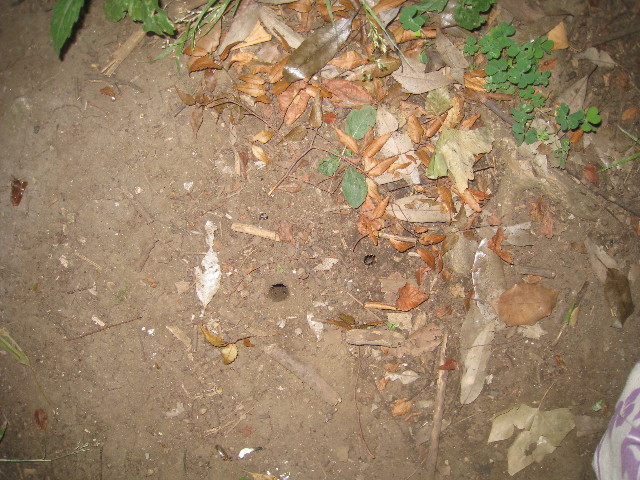 ファイル 890-1.jpg