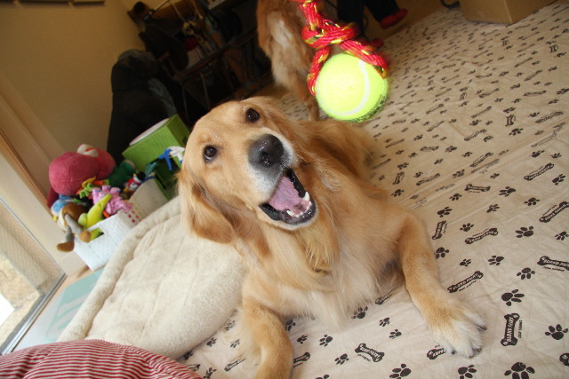 ファイル 890-3.jpg