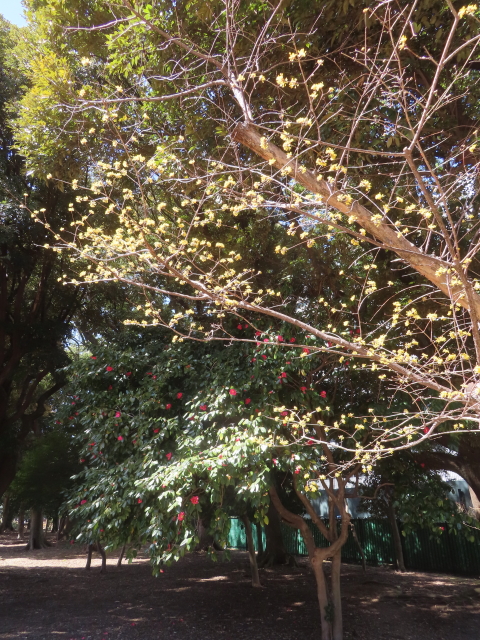 ファイル 8912-3.jpg