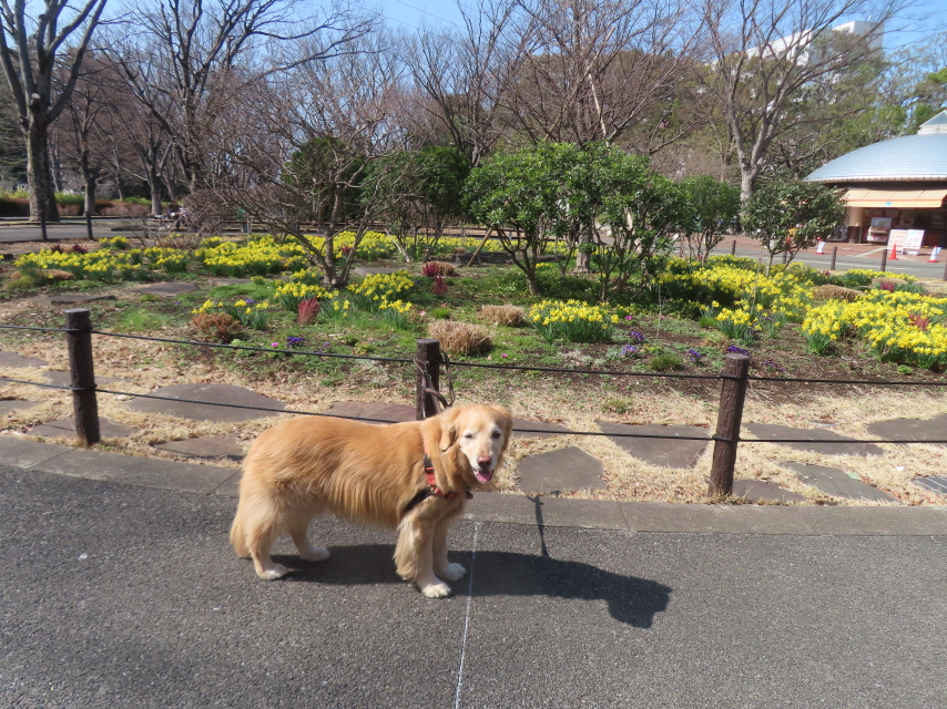 ファイル 8914-3.jpg