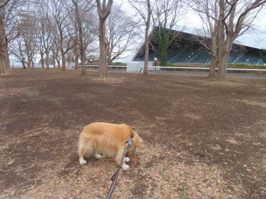 ファイル 8915-5.jpg