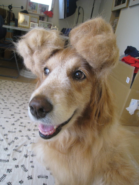 ファイル 892-5.jpg