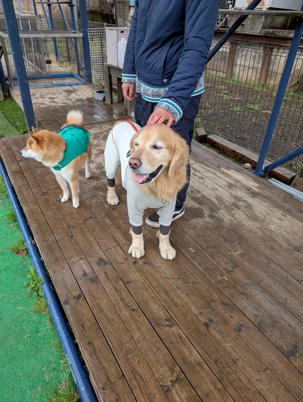 ファイル 8921-1.jpeg