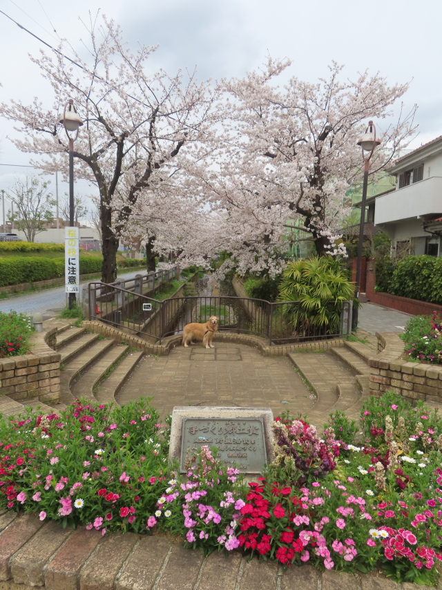 ファイル 8927-3.jpg