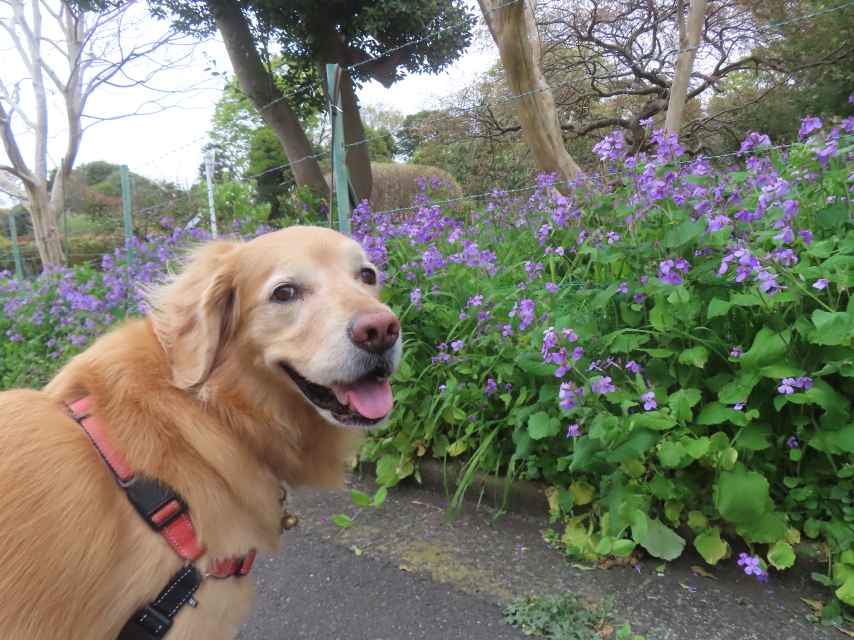 ファイル 8928-2.jpg