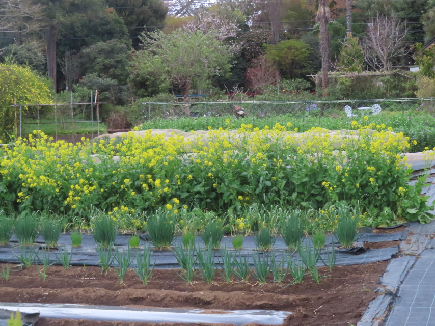 ファイル 8928-4.jpg