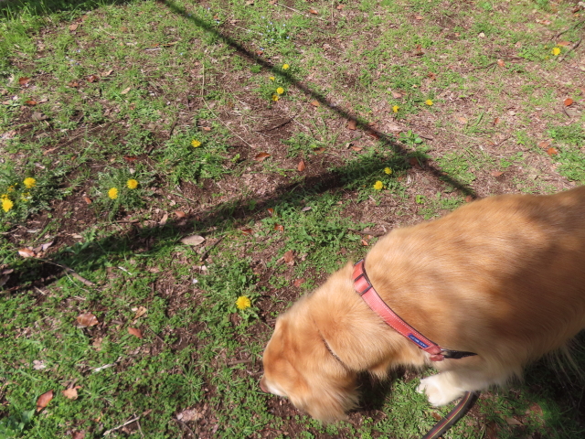 ファイル 8929-4.jpg